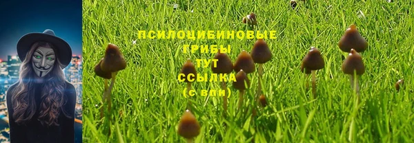 дживик Армянск