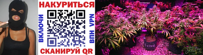 Бошки Шишки White Widow  Ужур 